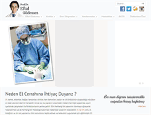 Tablet Screenshot of eftalgudemez.com